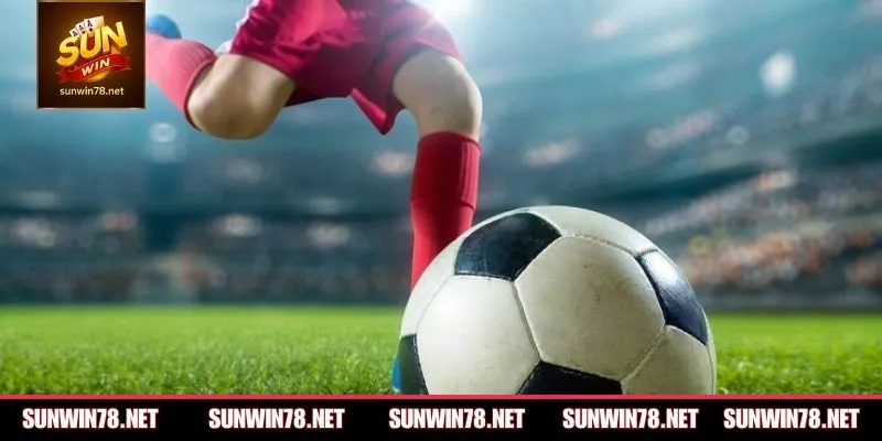 Giải đáp các câu hỏi pháp lý và thực tế